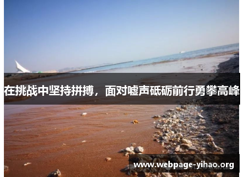 在挑战中坚持拼搏,面对嘘声砥砺前行勇攀高峰 在挑战中坚持拼搏,面对嘘声砥砺前行勇攀高峰