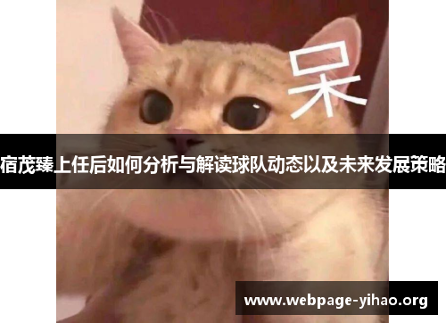 宿茂臻上任后如何分析与解读球队动态以及未来发展策略 宿茂臻上任后如何分析与解读球队动态以及未来发展策略