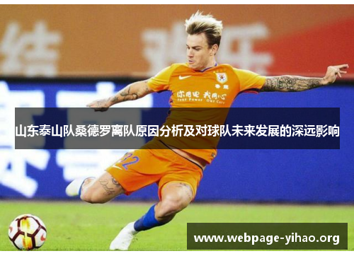 山东泰山队桑德罗离队原因分析及对球队未来发展的深远影响 山东泰山队桑德罗离队原因分析及对球队未来发展的深远影响
