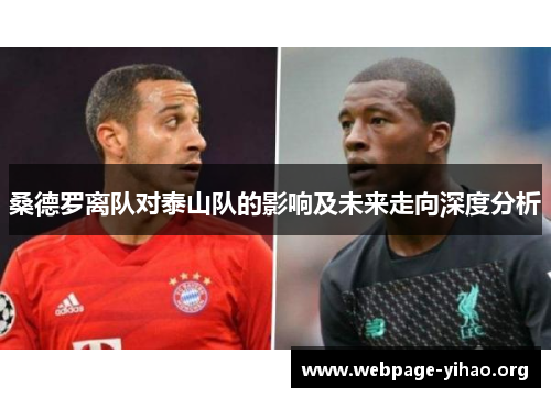 桑德罗离队对泰山队的影响及未来走向深度分析 桑德罗离队对泰山队的影响及未来走向深度分析