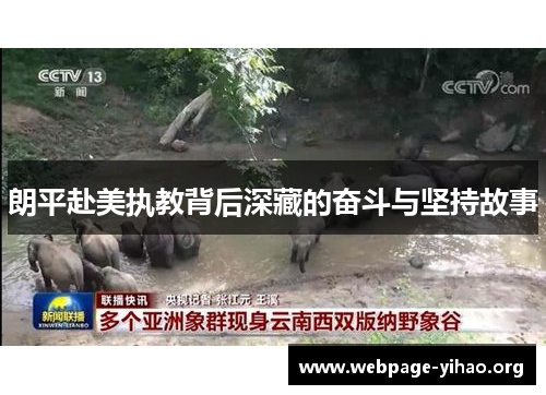 朗平赴美执教背后深藏的奋斗与坚持故事 朗平赴美执教背后深藏的奋斗与坚持故事